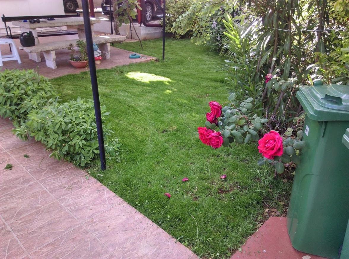 Apartment Casa Del Sol Novigrad  Luaran gambar